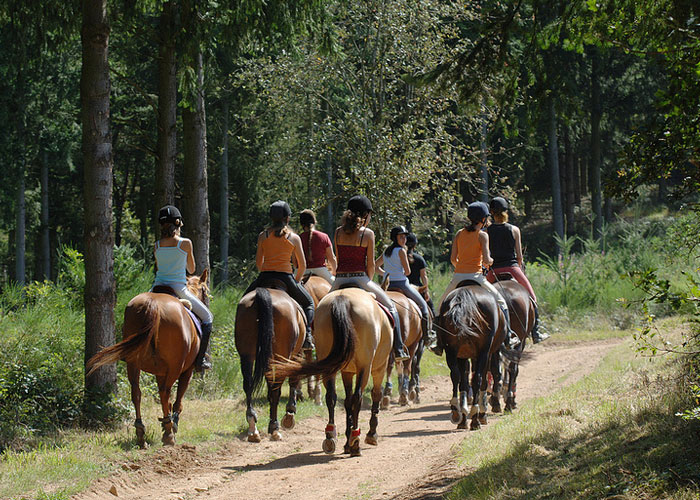 Pour ceux qui aiment les chevaux