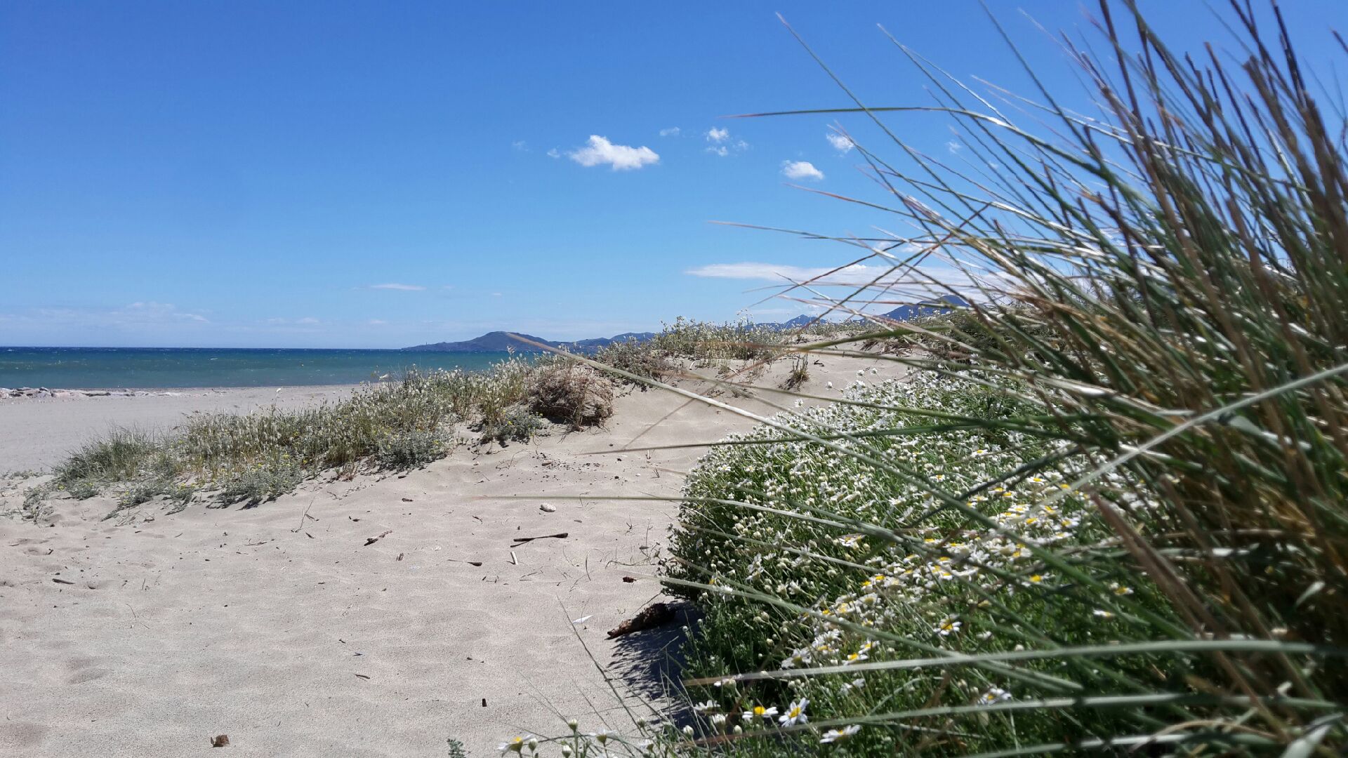 C'est aussi des petits coins tranquilles : Naturisme