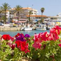 Le centre avec ses animations pour tous !