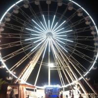 Les animations du soir