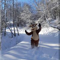 Clin d'oeil à la nature