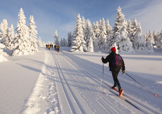 Le ski de Fond à Font-Romeu